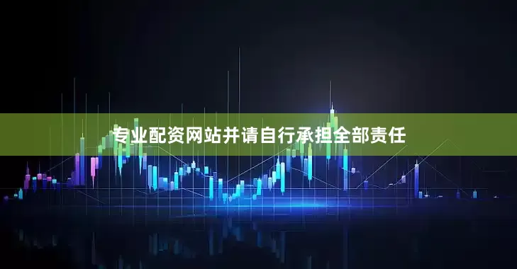 专业配资网站并请自行承担全部责任